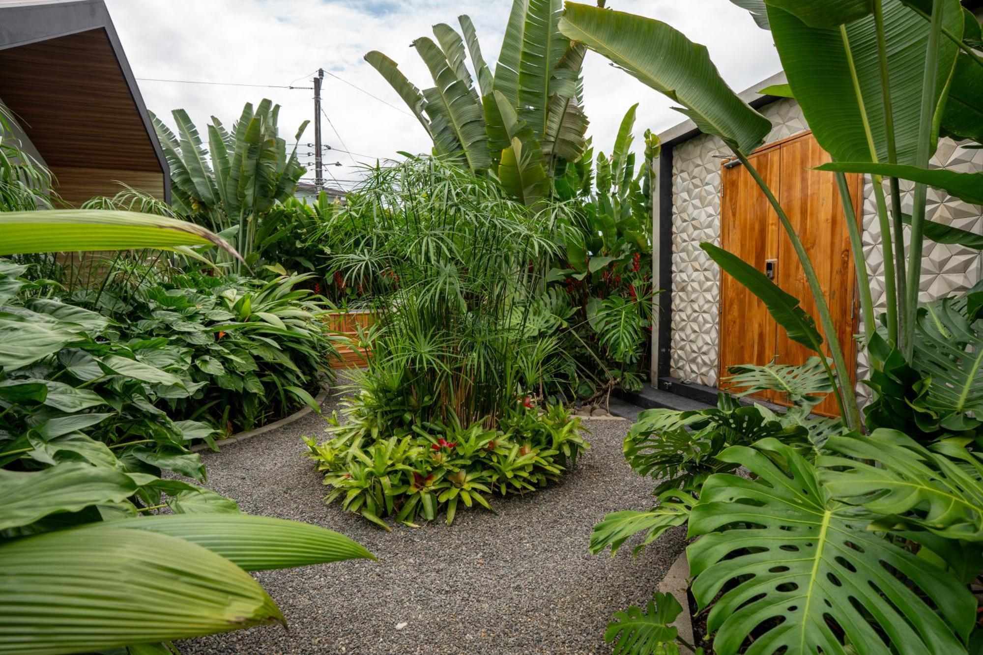 Suwa Villa Arenal La Fortuna Extérieur photo