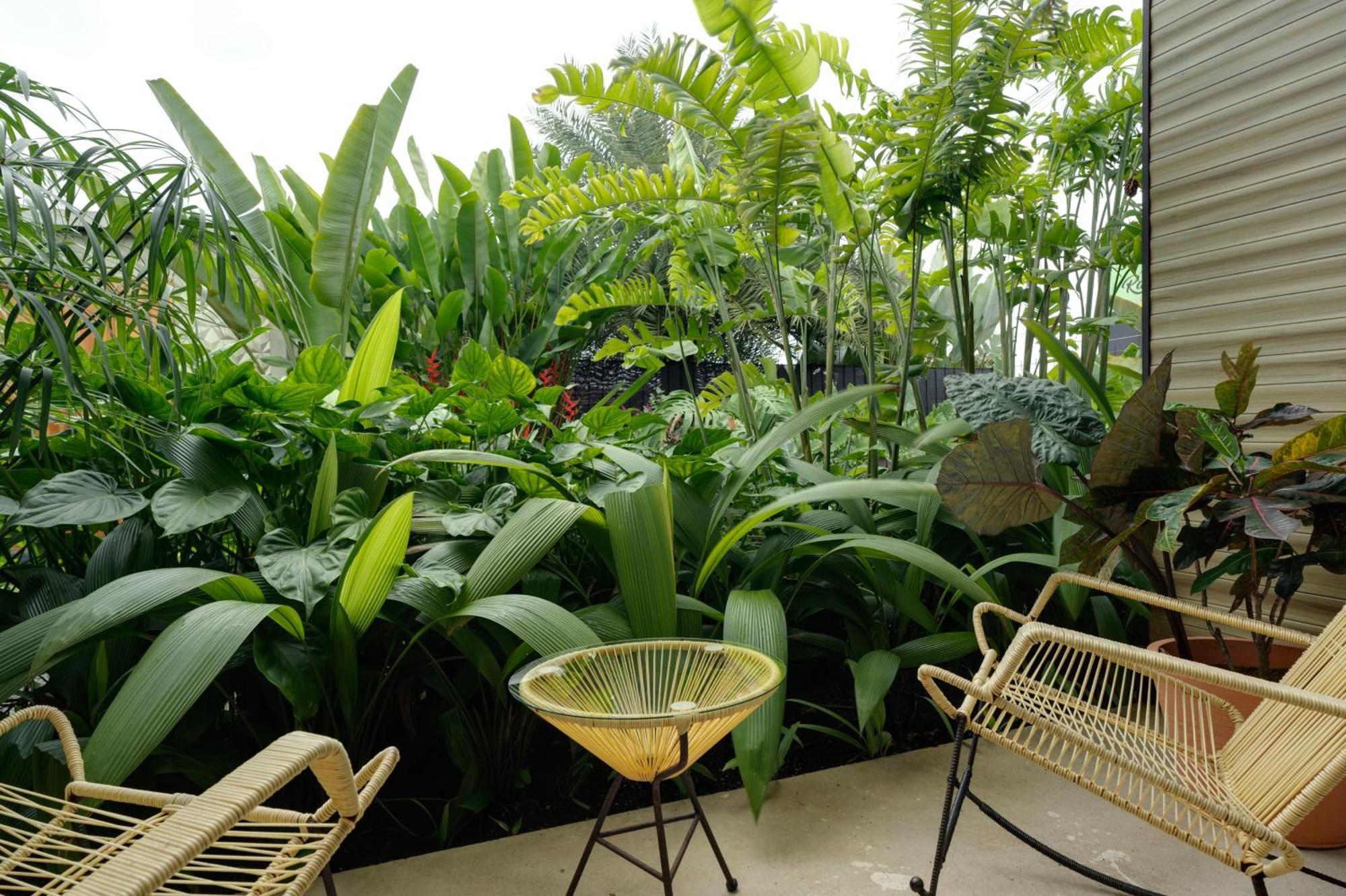 Suwa Villa Arenal La Fortuna Extérieur photo